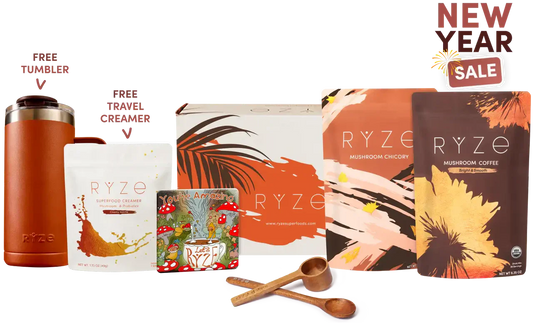 Lasting Energy Bundle 05